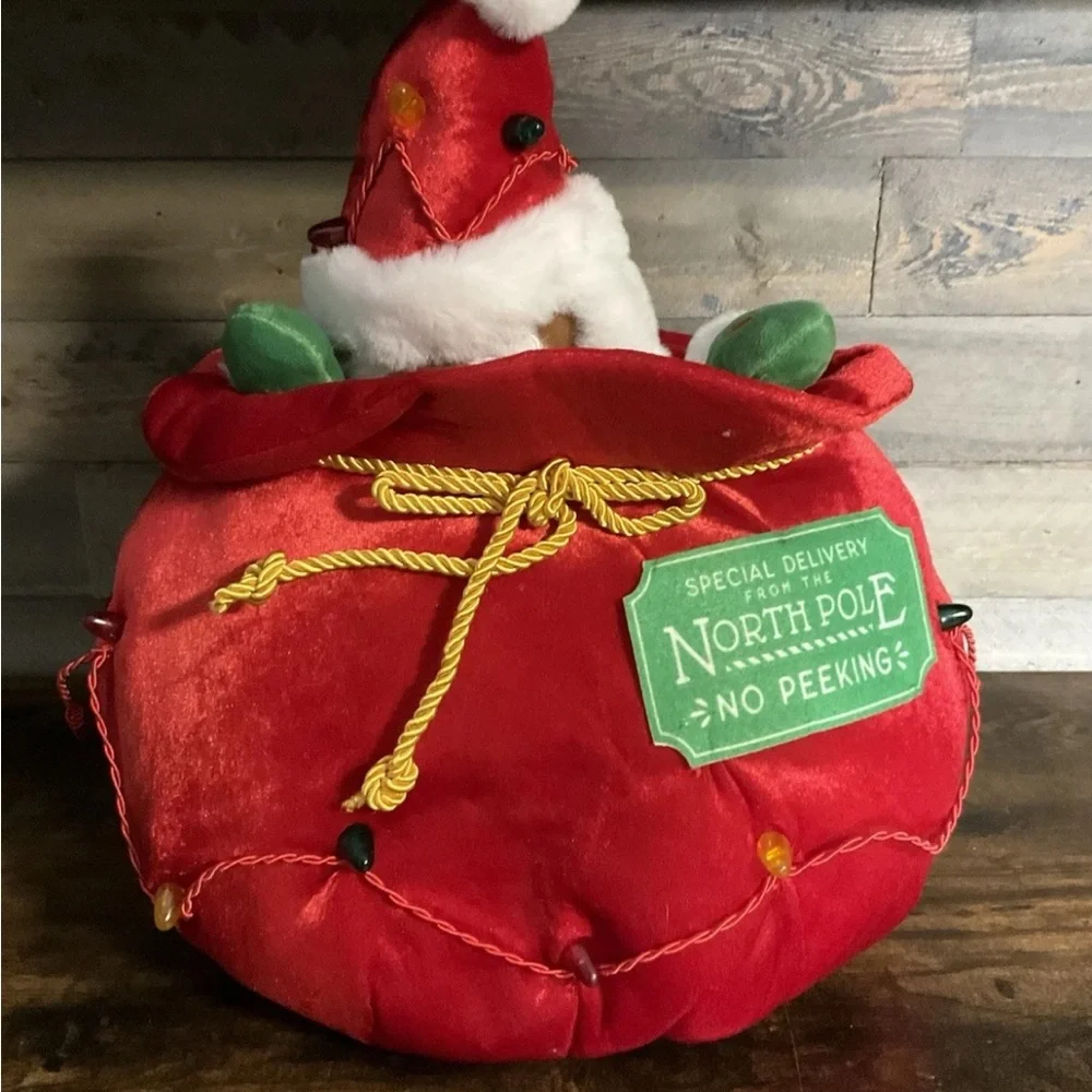 adidas Red and Green Santa Sack with Lights - Picture 2 of 4